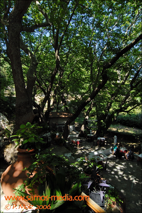 samos_taverne_aedw_t_1b595c.jpg
