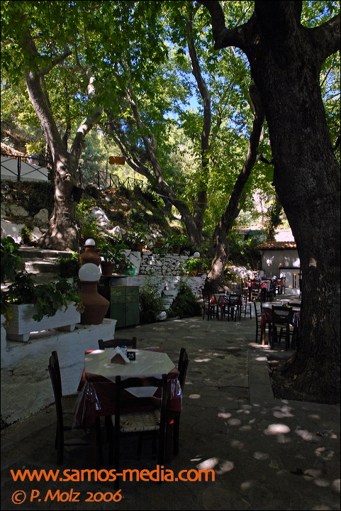 samos_taverne_aedw_t_1b5960.jpg