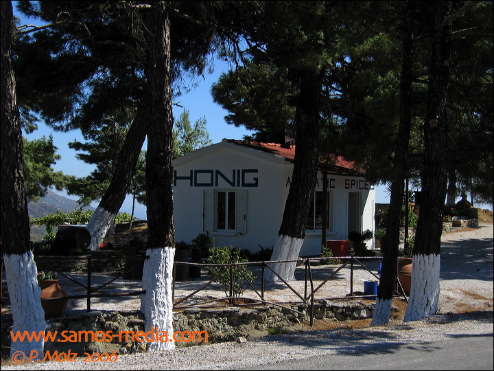 samos_taverne_aedw_t_1b6027.jpg