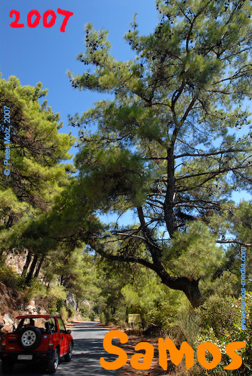 Samos_2007_V4_219