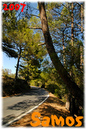 Samos_2007_V4_030